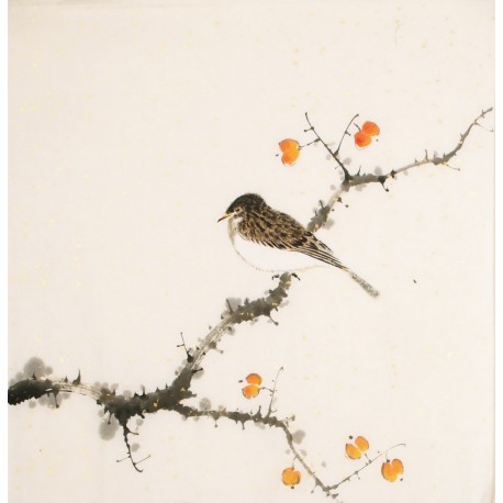 Other Birds - CNAG006491