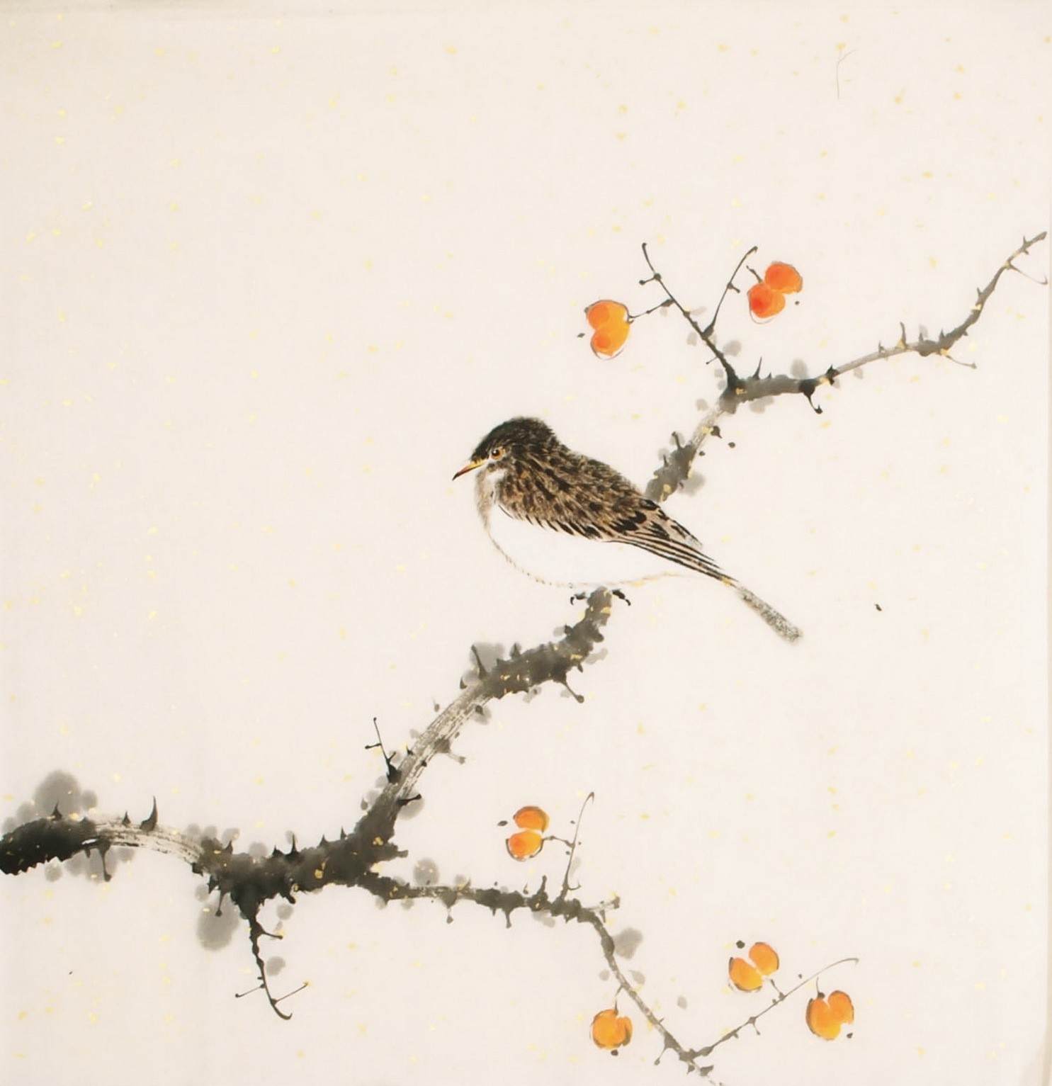 Other Birds - CNAG006491