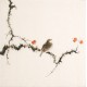 Other Birds - CNAG006492
