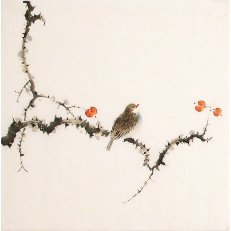 Other Birds - CNAG006492