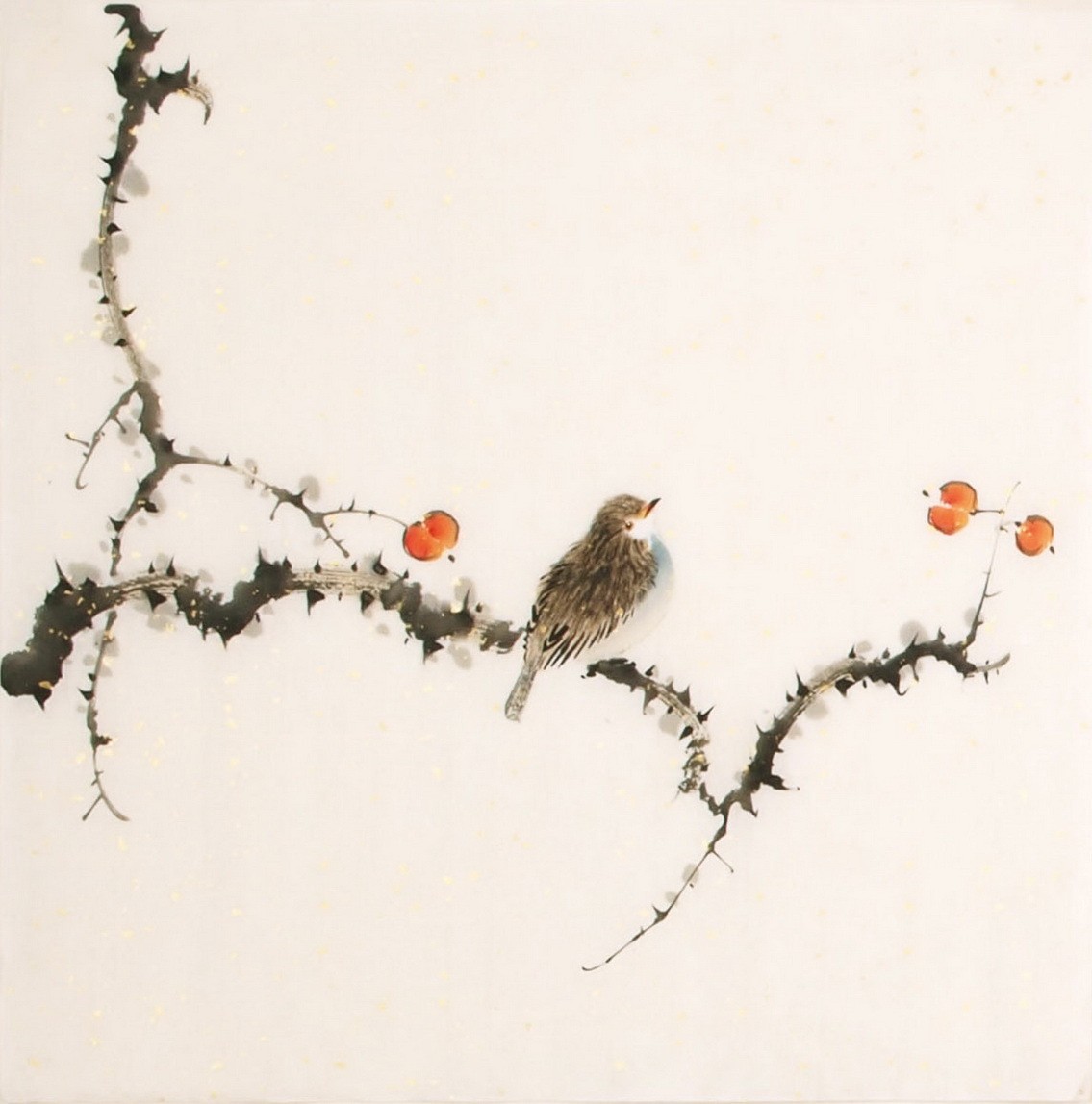 Other Birds - CNAG006492