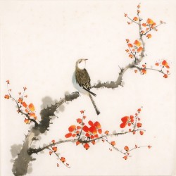 Plum - CNAG006494