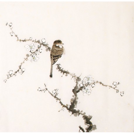 Other Birds - CNAG006495