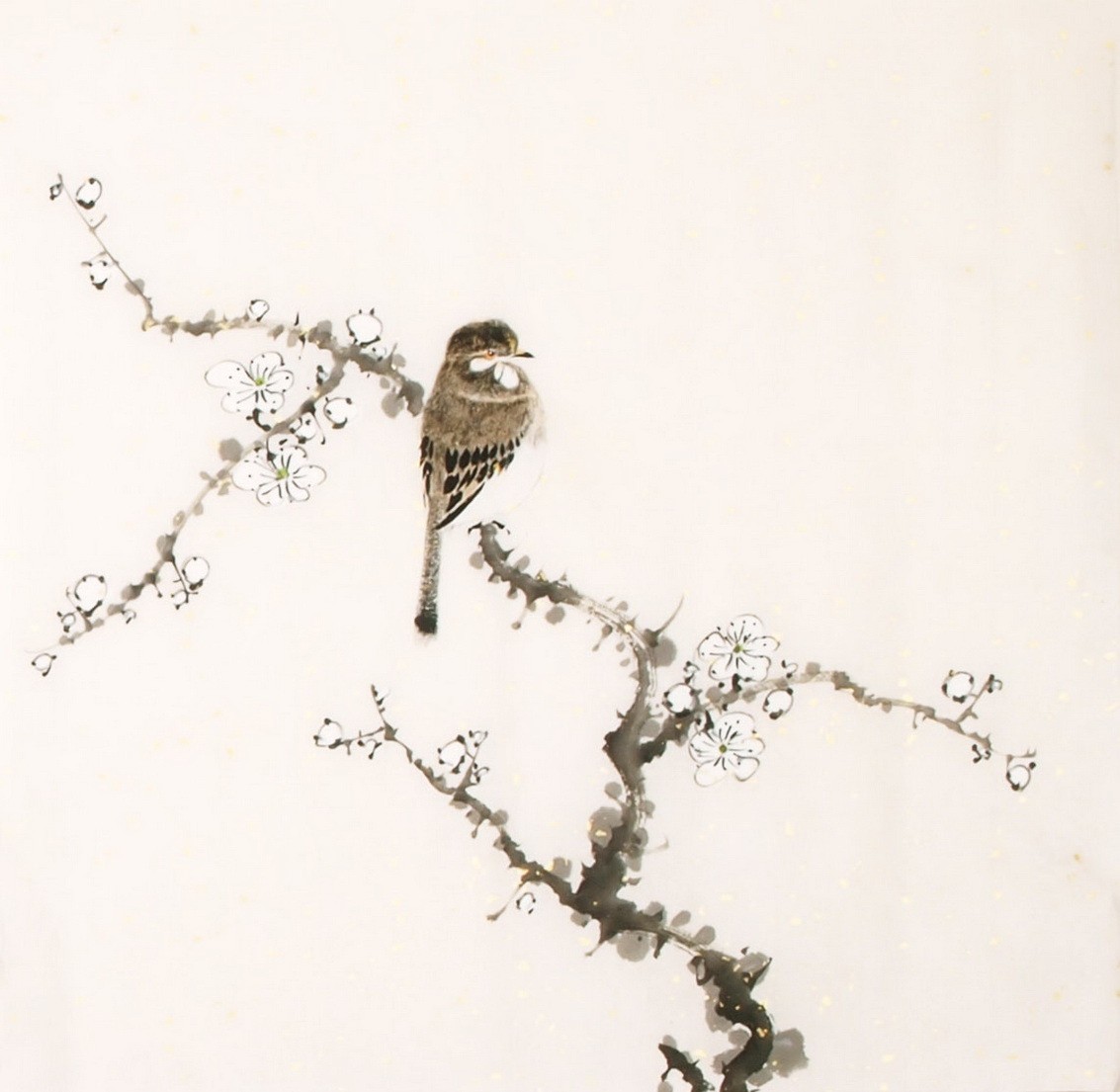 Other Birds - CNAG006495