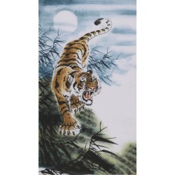 Tiger - CNAG000065