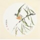Other Birds - CNAG006497
