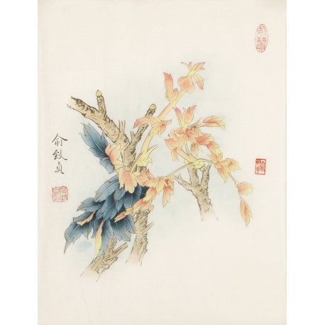 Other Birds - CNAG006498