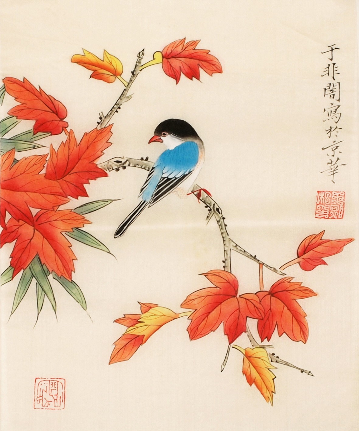 Other Birds - CNAG006507