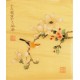 Orchid - CNAG006508