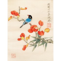 Other Birds - CNAG006509