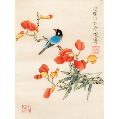 Other Birds - CNAG006509