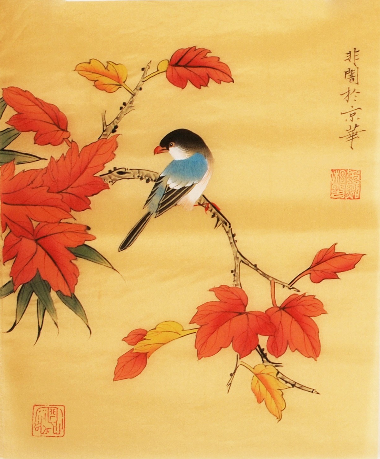 Other Birds - CNAG006511