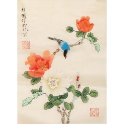 Hibiscus - CNAG006513