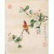 Other Birds - CNAG006517