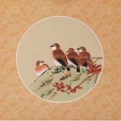 Other Birds - CNAG006519