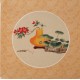 Other Birds - CNAG006520