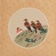 Other Birds - CNAG006523