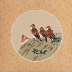 Other Birds - CNAG006523