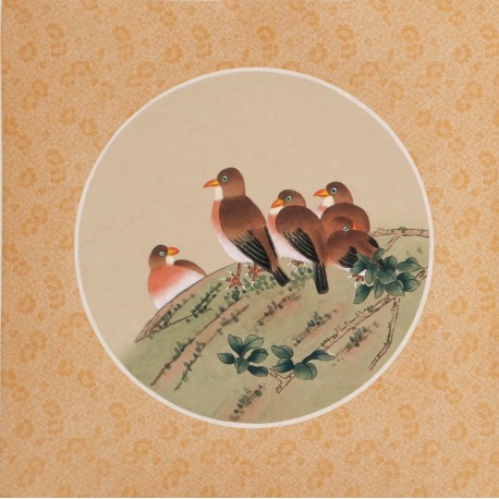 Other Birds - CNAG006523