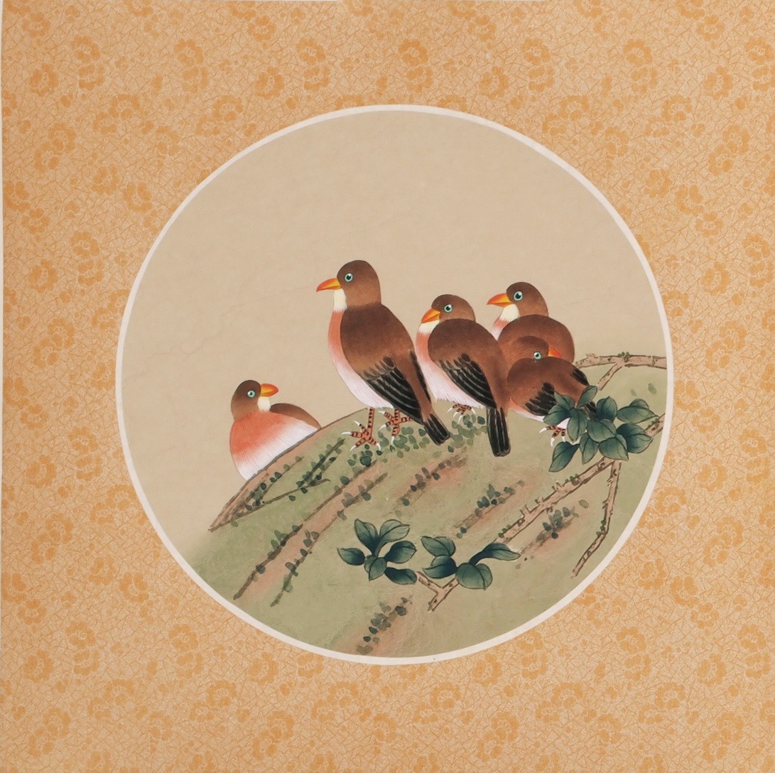 Other Birds - CNAG006523