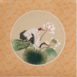 Lotus - CNAG006524