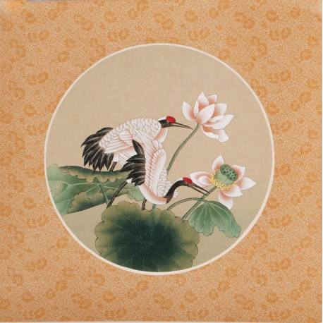 Lotus - CNAG006524