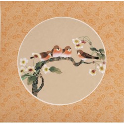 Other Birds - CNAG006525