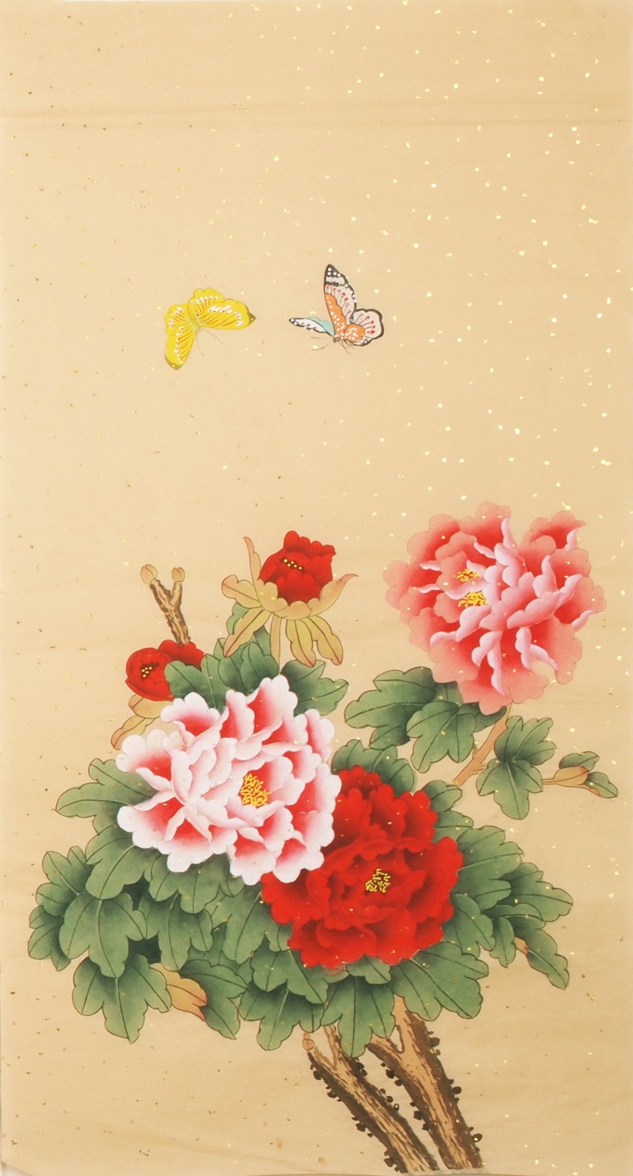 Peony - CNAG000653