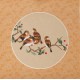 Other Birds - CNAG006526