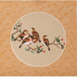 Other Birds - CNAG006526