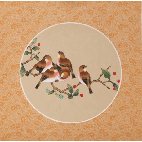 Other Birds - CNAG006526