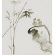 Bamboo - CNAG006544