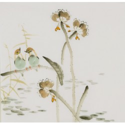 Lotus - CNAG006548