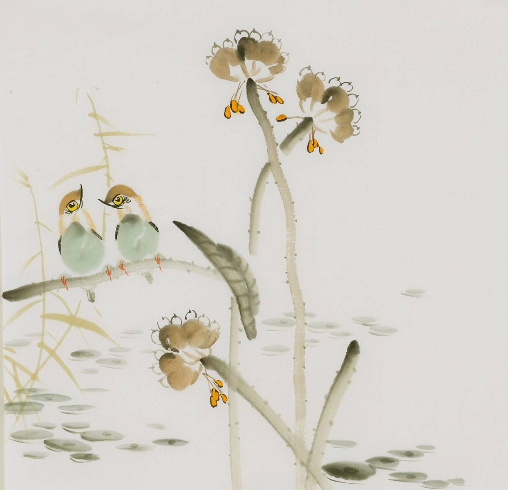 Lotus - CNAG006548