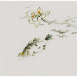 Fish - CNAG006574
