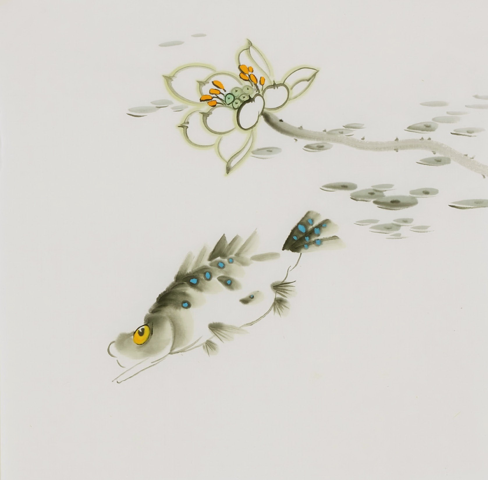 Fish - CNAG006574