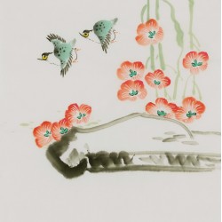 Morning Glory - CNAG006580