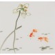 Fish - CNAG006598