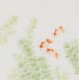 Fish - CNAG006600