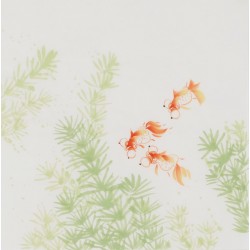 Fish - CNAG006600