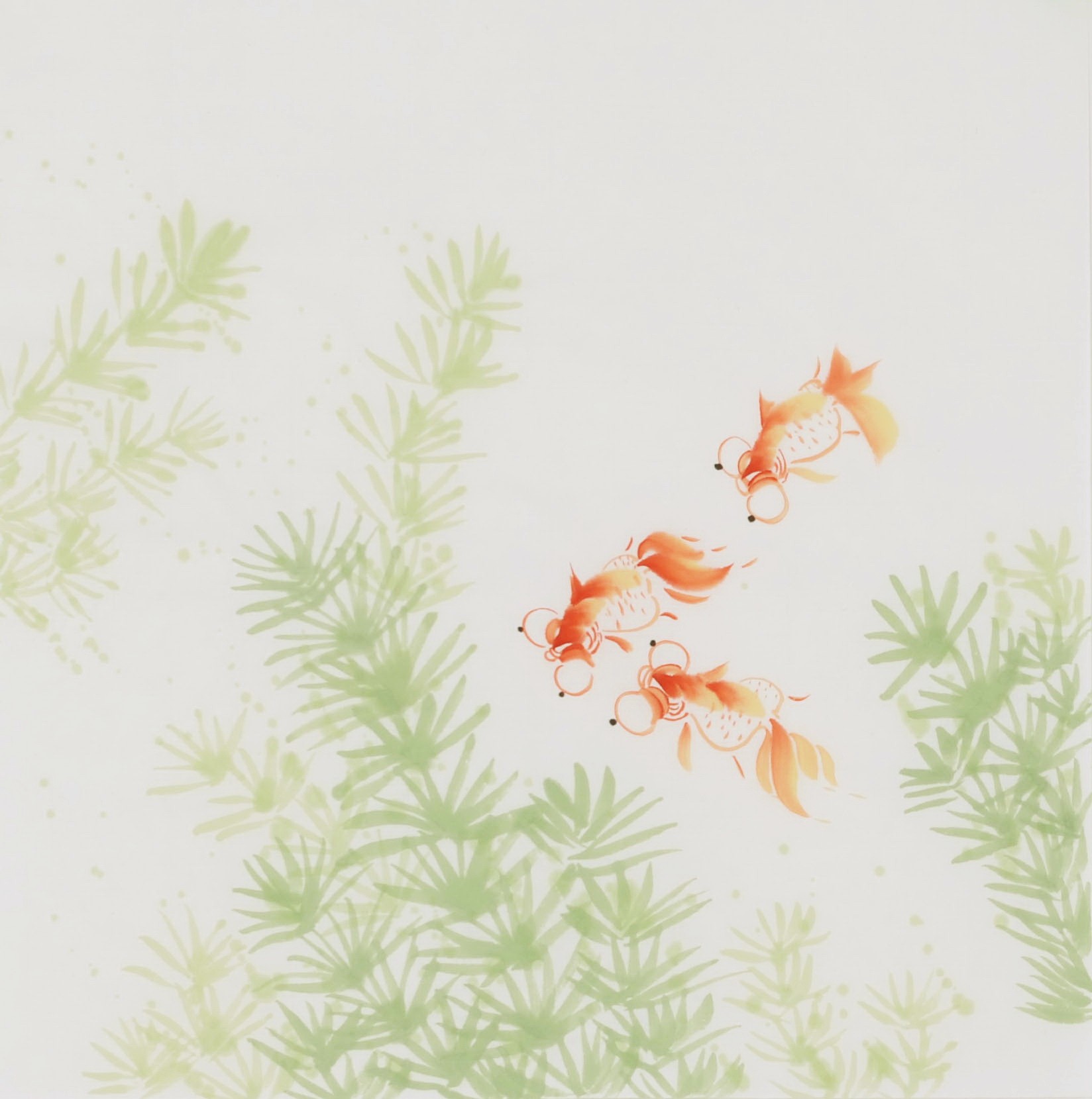 Fish - CNAG006600
