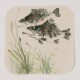 Fish - CNAG006606