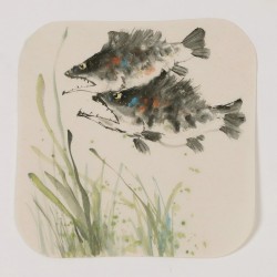 Fish - CNAG006606