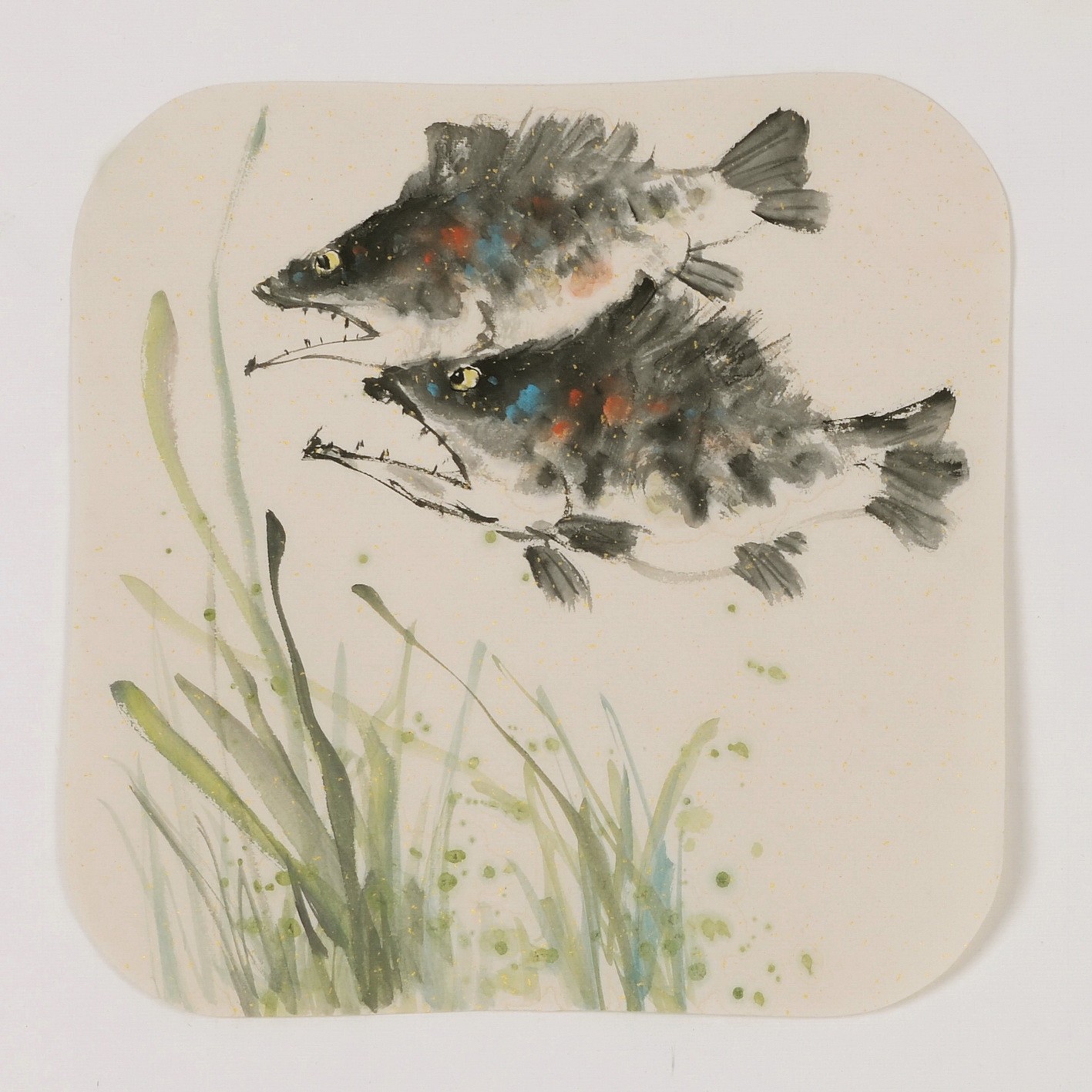 Fish - CNAG006606