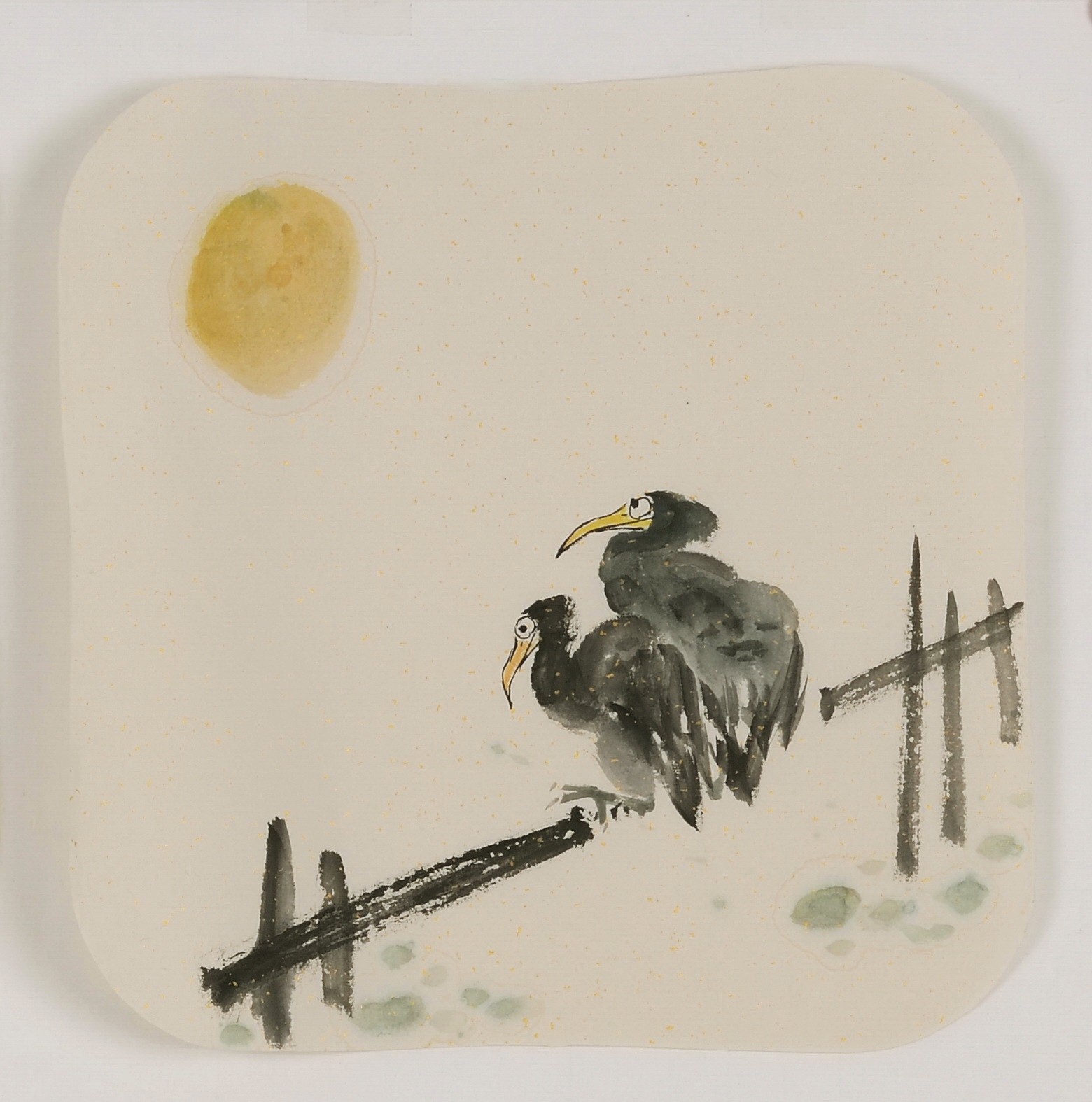 Other Birds - CNAG006611