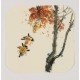 Other Birds - CNAG006618