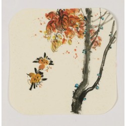 Other Birds - CNAG006618