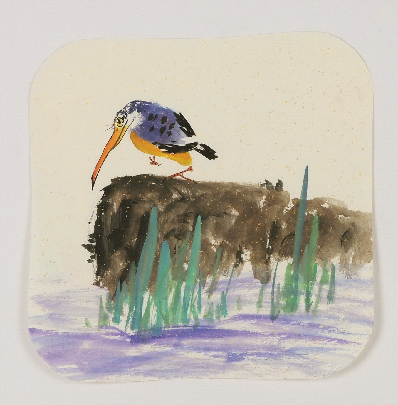 Kingfisher - CNAG006619