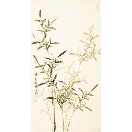 Green Bamboo - CNAG000663
