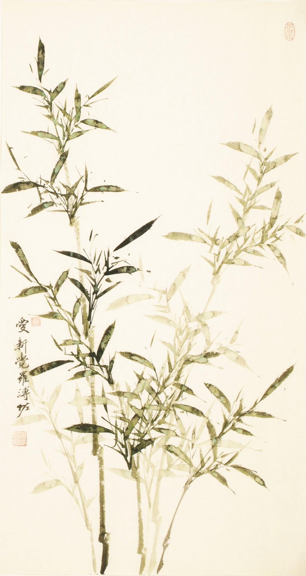 Green Bamboo - CNAG000663